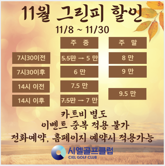 11월할인그린피 